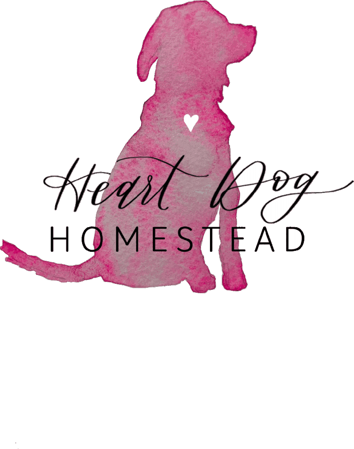 Heart Dog Homestead